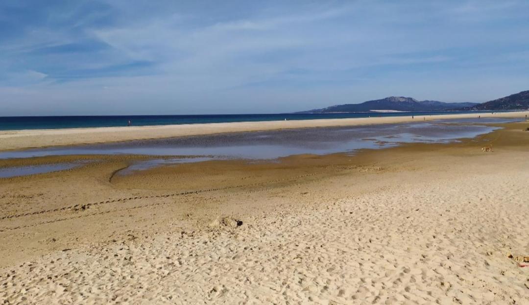 Lances Playa Lägenhet Tarifa Exteriör bild